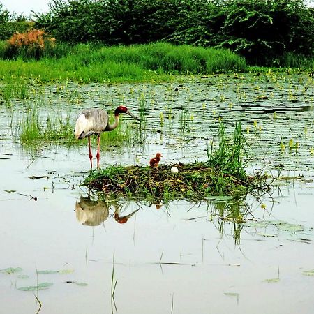Ibishouse Farm Stay Bharatpur Exteriér fotografie