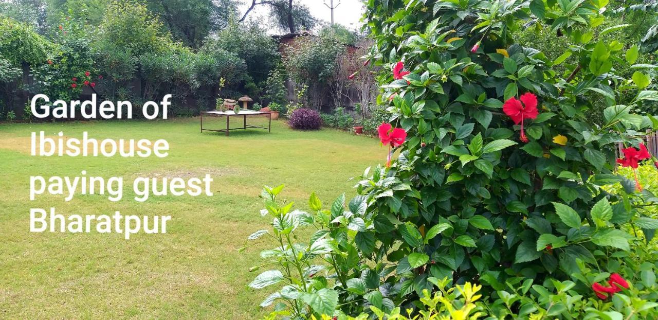 Ibishouse Farm Stay Bharatpur Exteriér fotografie