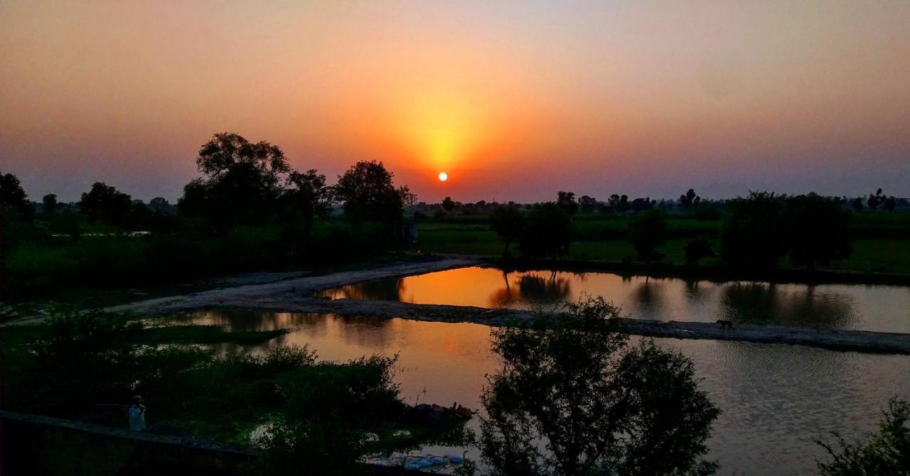 Ibishouse Farm Stay Bharatpur Exteriér fotografie