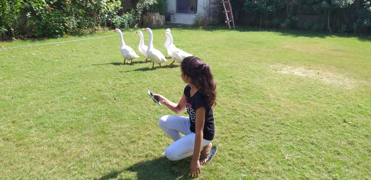 Ibishouse Farm Stay Bharatpur Exteriér fotografie