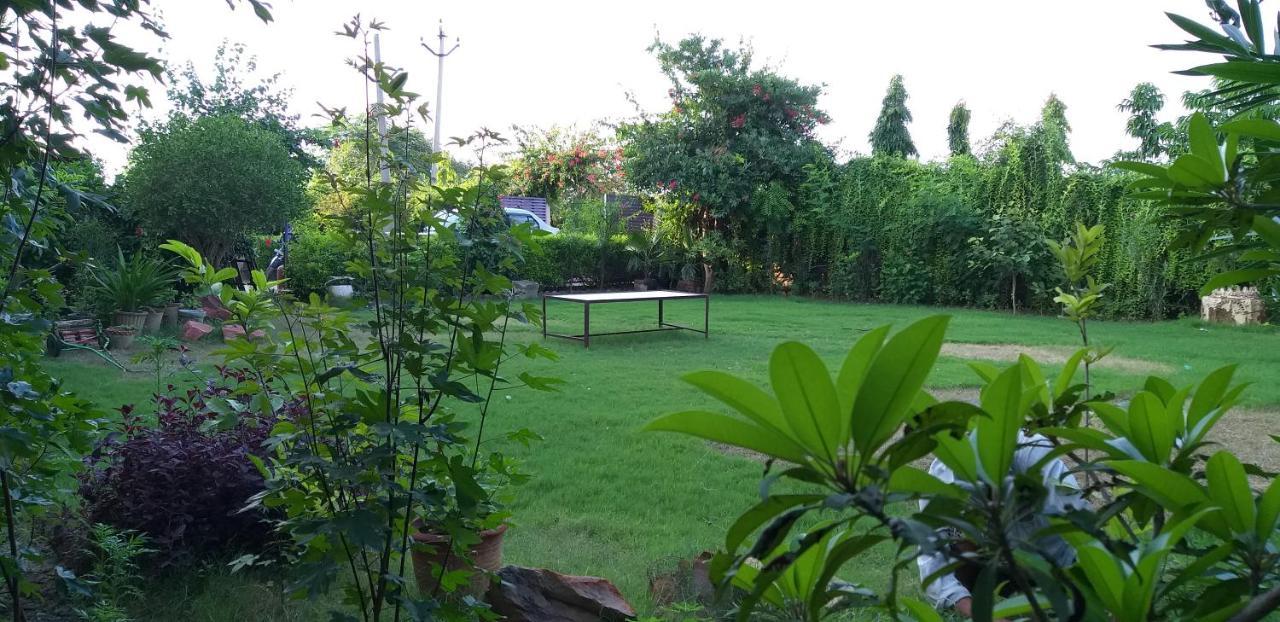 Ibishouse Farm Stay Bharatpur Exteriér fotografie